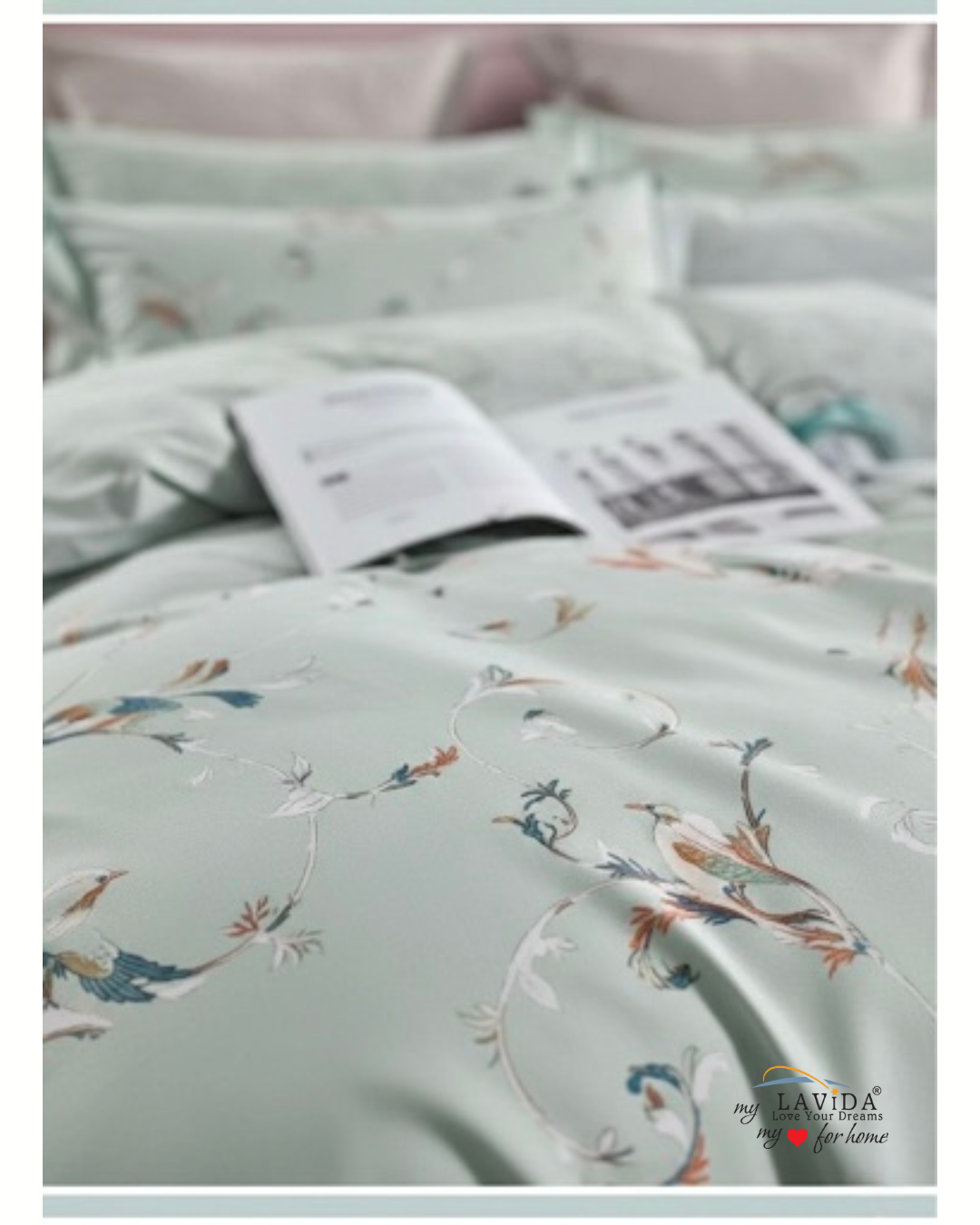 Cotton Plus XL Bedsheet Set
