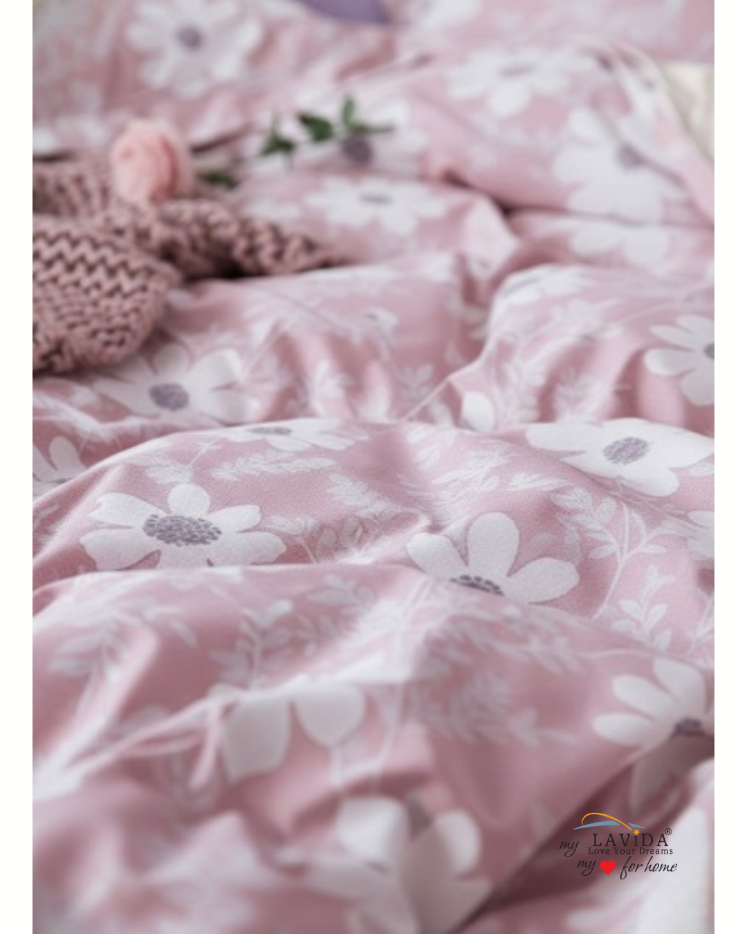 Cotton Plus XL Bedsheet Set